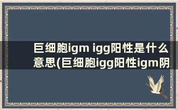 巨细胞igm igg阳性是什么意思(巨细胞igg阳性igm阴性是什么意思)